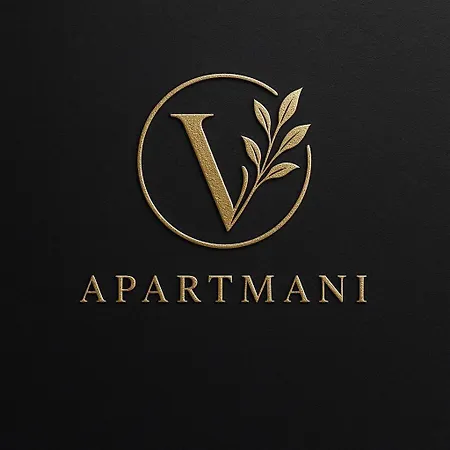 V 3 *
